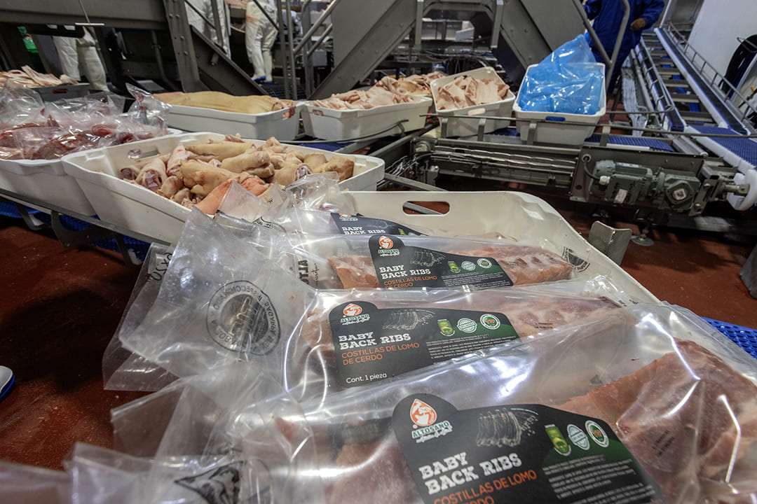 min-PPCC-corte-0Y1A9876