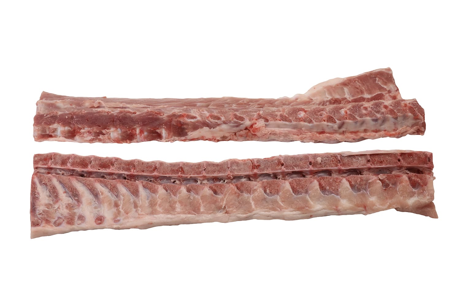 BACK BONE