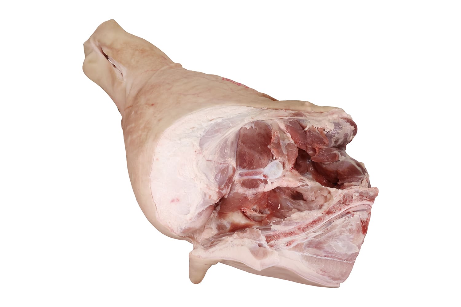 PERNIL SIN PERICO