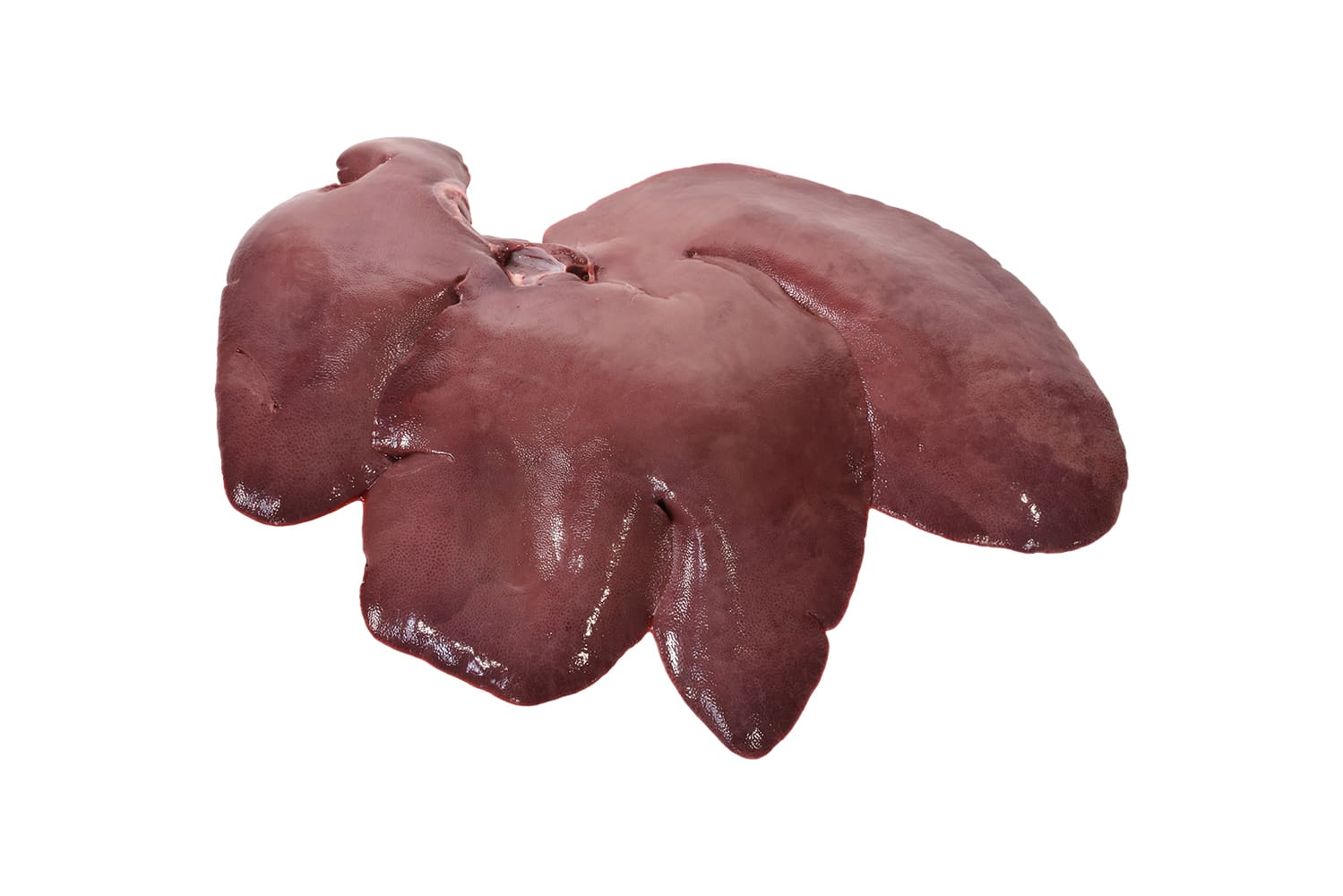 LIVER