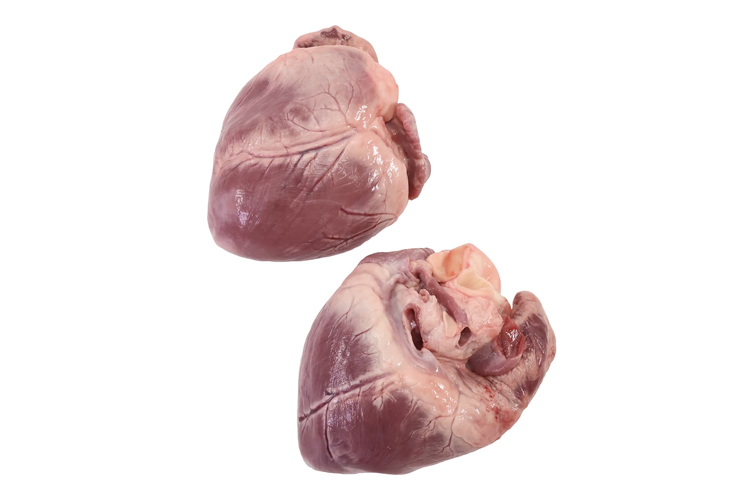 HEART