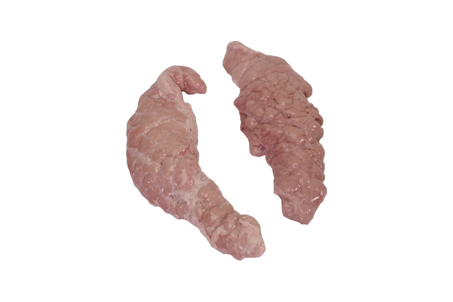 PANCREAS