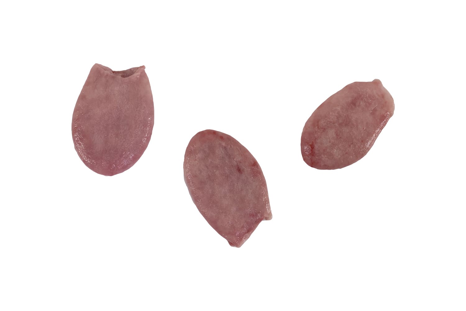 BLADDER